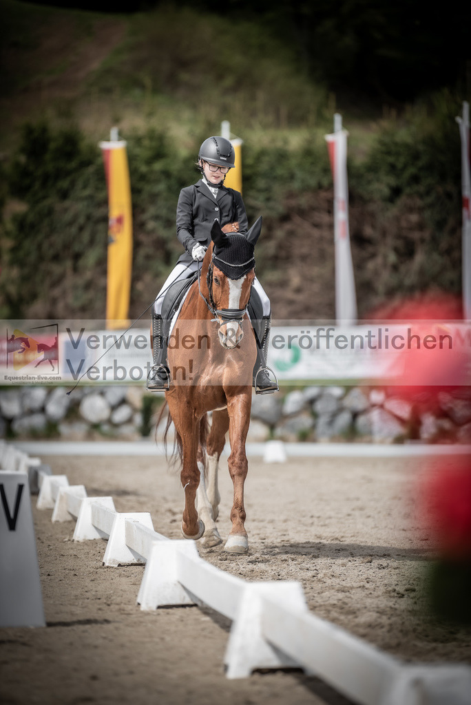 DSC_3214 | equestrian-live-com