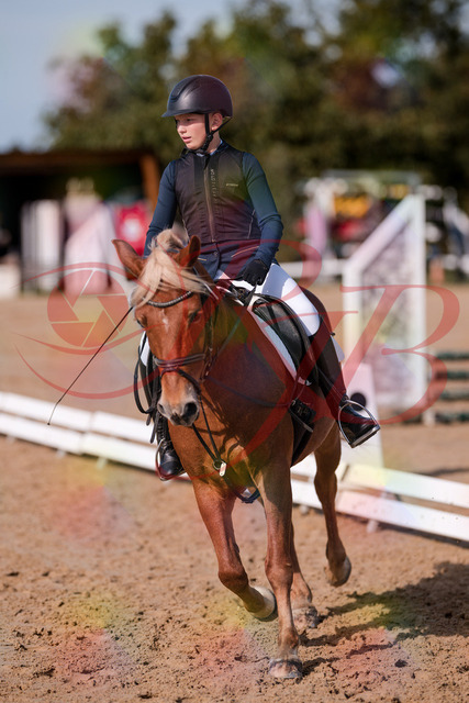 2026_10_03_Siefer-Hof_120032_Z81_02582399 | Professionelle Reitsport-, Turnier- und Eventfotografie von Robert Broda. Galerien mit ausgewählten und bearbeiteten Bildern direkt online ansehen und bestellen.