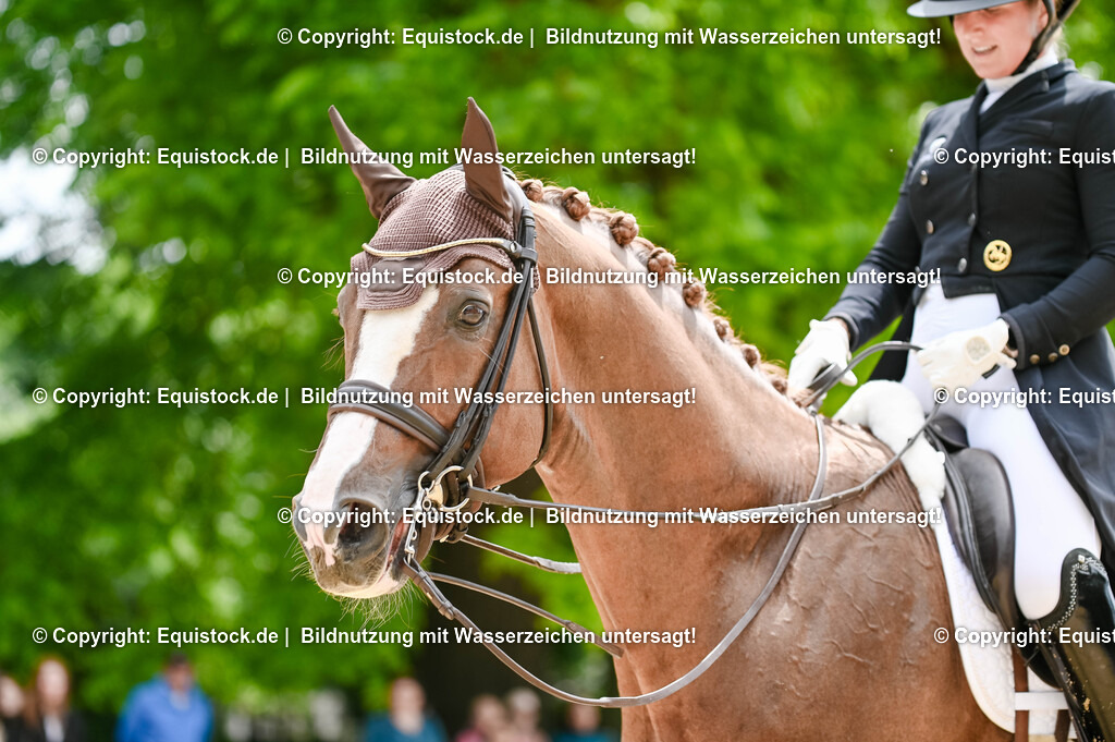 20250607_1_GP-Tour_Dressage_0401 | Foto: Thomas Hartig