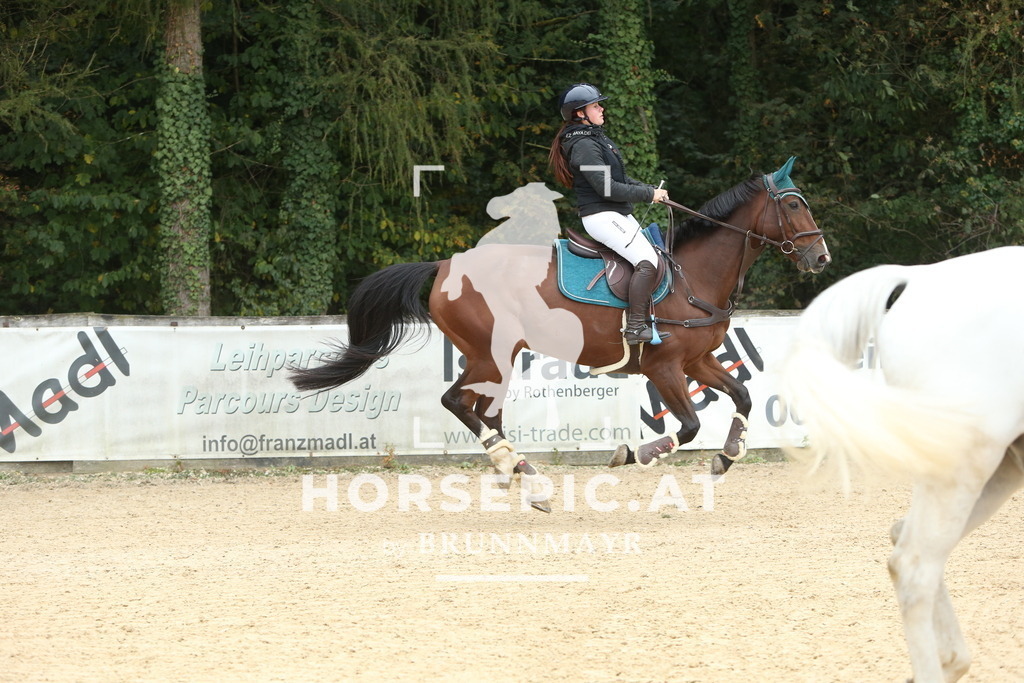 DL2Q5371 | Willkommen bei Brunnmayr - Design & Fotografie – Ihrem Spezialisten für Reitturniere und Pferdeveranstaltungen in Oberösterreich, Salzburg und Bayern! Seit über 17 Jahren sind wir leidenschaftlich dabei.