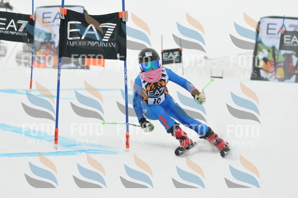 DSC_7387 | holidayphoto