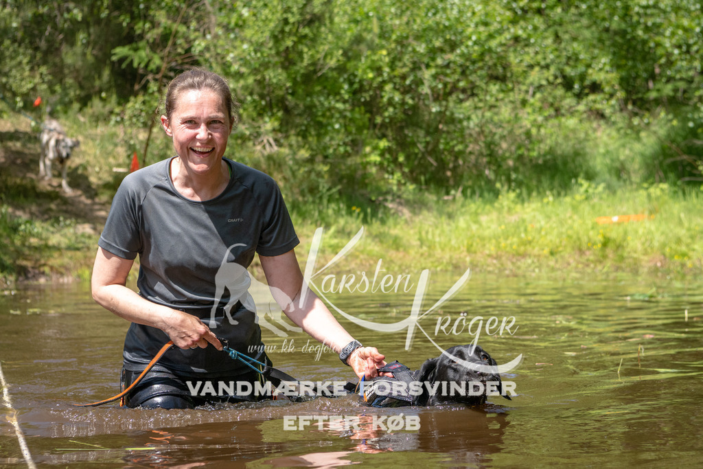 1338DKK990069 | kk-dogfotos