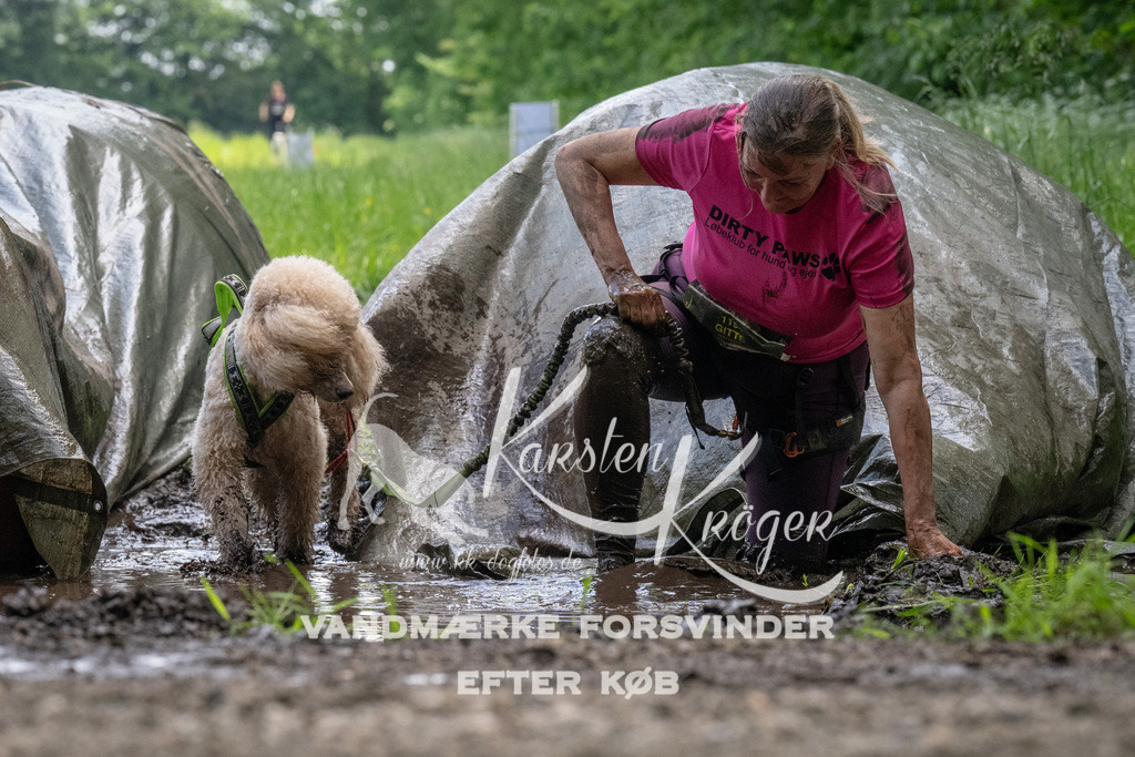 1143_ZZ94204 | kk-dogfotos