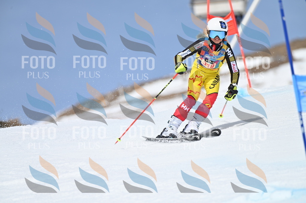 BGV_3096 | holidayphoto