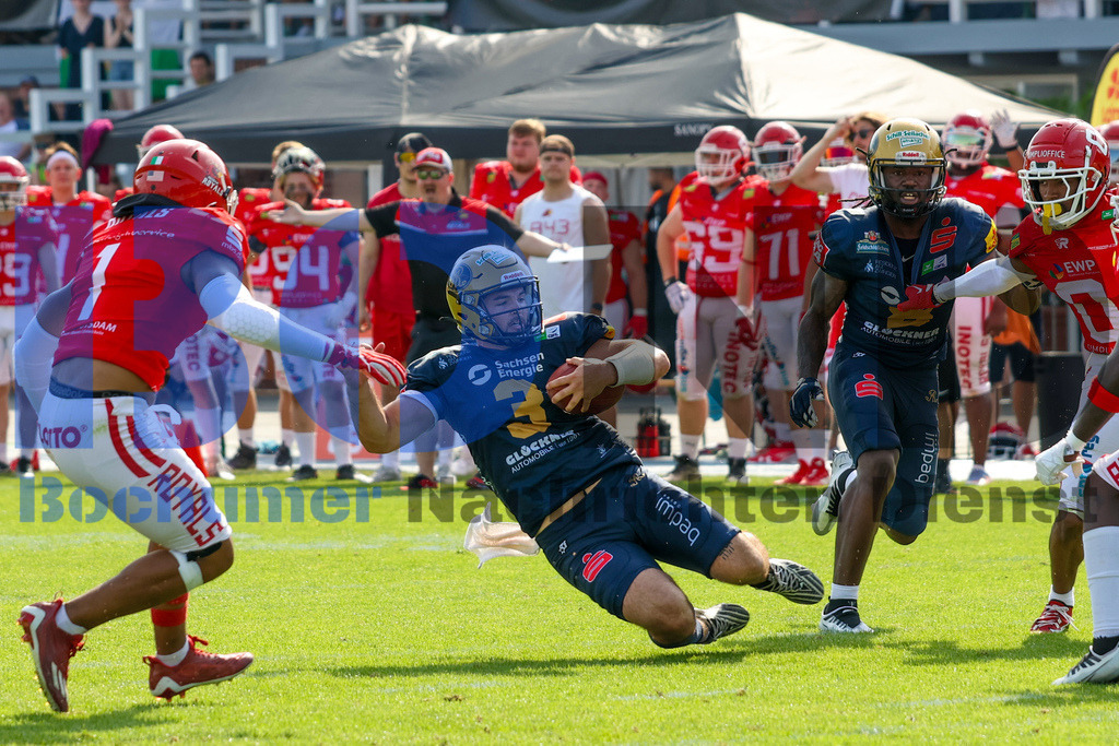 GFL: Potsdam Royals vs. Dresden Monarchs{date} -  | {headline}(Foto: Thomas Sobotzki / BOND) - Realisiert mit Pictrs.com