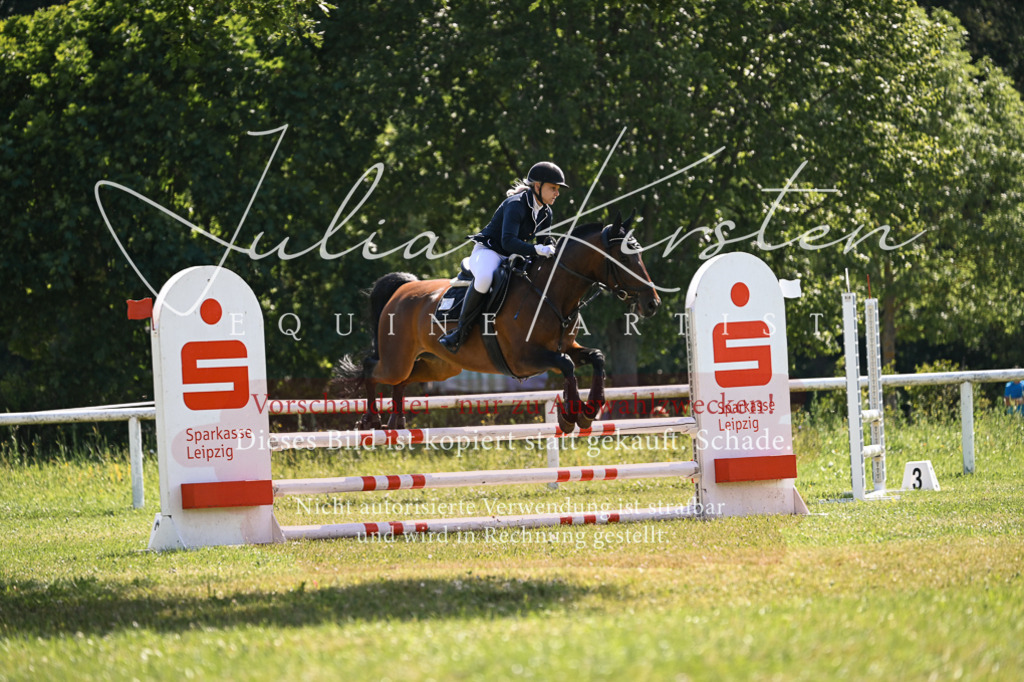 DSC_8914 | Pferde- und Turnierfotografie in Westsachsen. Pferdeportraits, Auftragszeichnungen und intuitive Kunst.