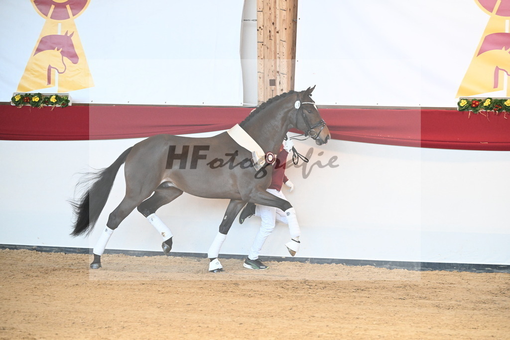 Kat.-Nr. 71 v. Va Bene_Müller_2242637 | hf-fotografie - Realisiert mit Pictrs.com