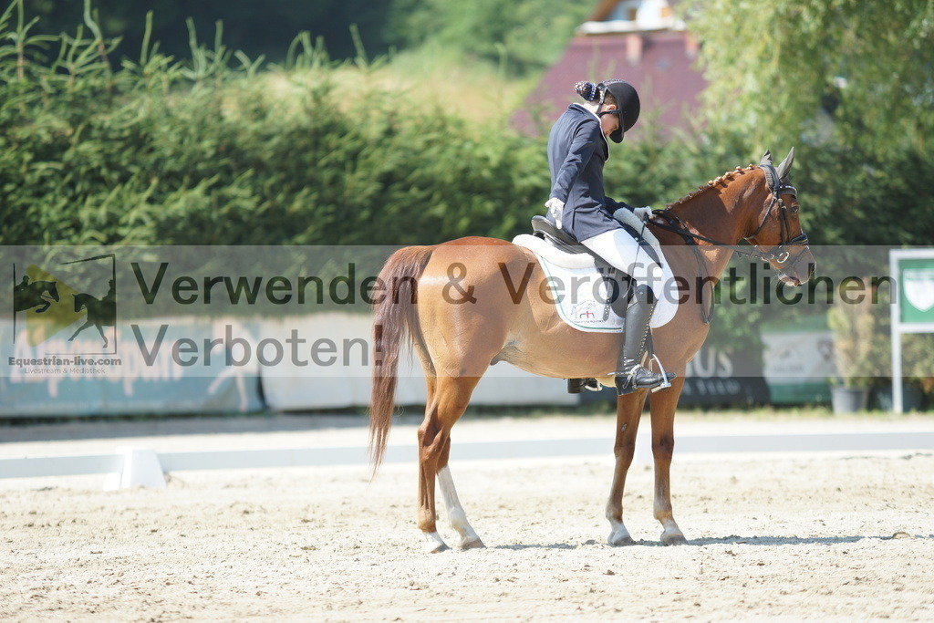 DSC03801 | equestrian-live-com