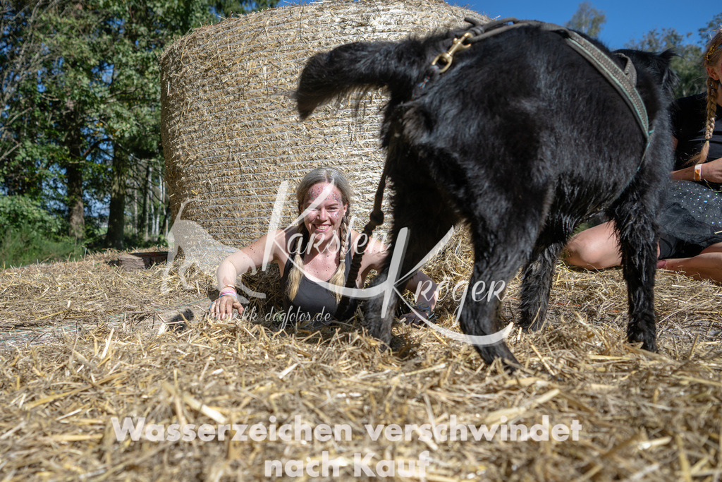 1218_ZZ91304-2 | kk-dogfotos