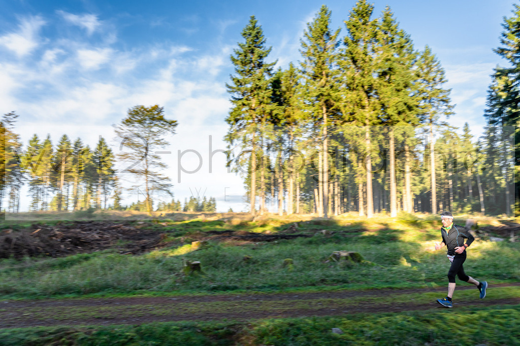 Rennsteiglauf 2021 | Marathon Neuhaus/Rwg. - Schmiedefeld