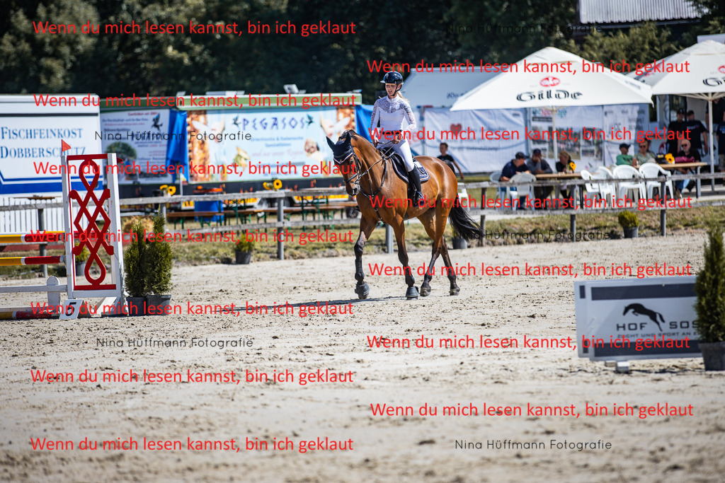 BK1A5214 | Turnierbilder Turnierfotos Nina Hüffmann Turnierfotografie Pferdefotografie Tierzeichnung Haustierzeichnung Pferdezeichnung Hundezeichnung Videograf  - Realisiert mit Pictrs.com