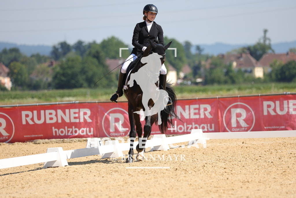 0P6A9703 | Willkommen bei Brunnmayr - Design & Fotografie – Ihrem Spezialisten für Reitturniere und Pferdeveranstaltungen in Oberösterreich, Salzburg und Bayern! Seit über 17 Jahren sind wir leidenschaftlich dabei.