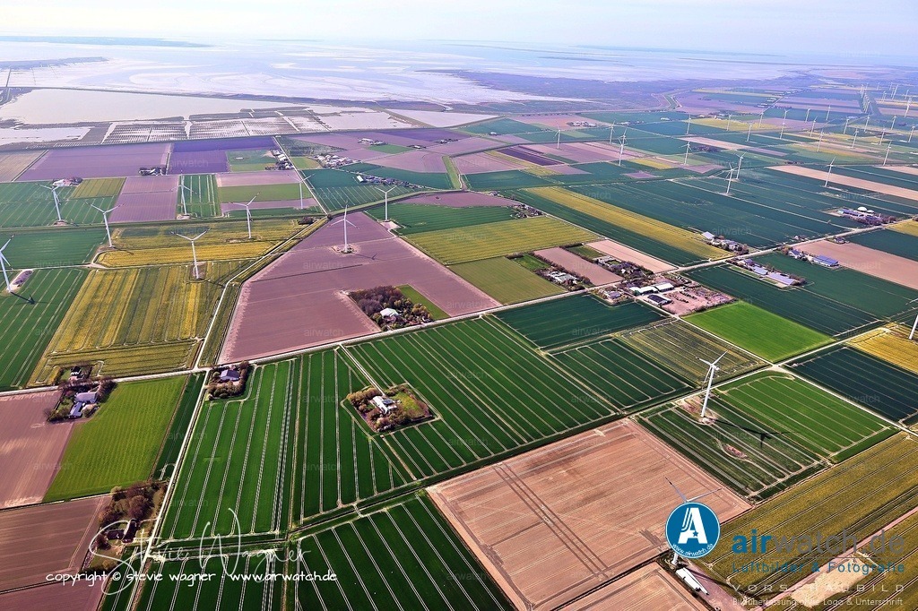 Luftbilder Cecilienkoog | Die Finanzierung der Eindeichung erfolgte etwa je zur Hälfte durch Privatinteressenten und die öffentliche Hand.Der Koog wurde in 66 Parzellen aufgeteilt und öffentlich versteigert, um die Refinanzierung zu gewährleisten.Heute gibt es fünf Windmühlen, eine Biogasanlage und ein Solarfeld, die der Energiewirtschaft dienen.