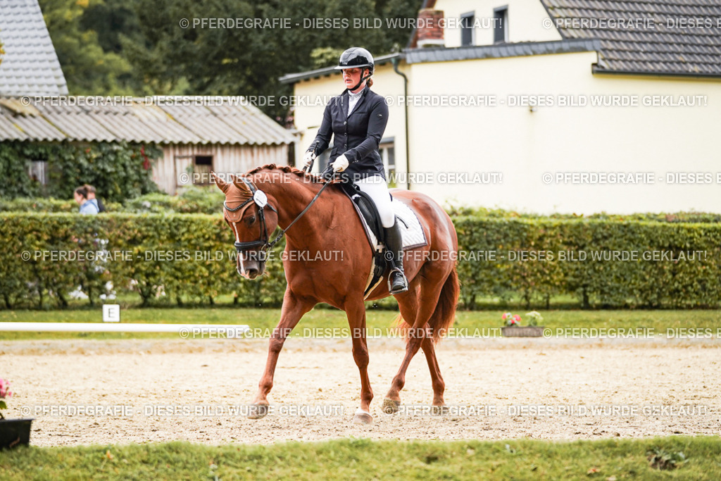 DSC08277 | Pferdegrafie