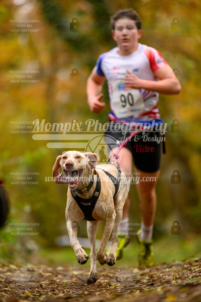 MompixPhotography_Bischwiller24_SA_Canicross-126 | PayLife