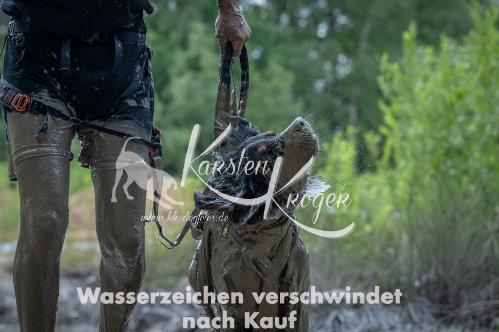 1158_ZZ94035 | kk-dogfotos