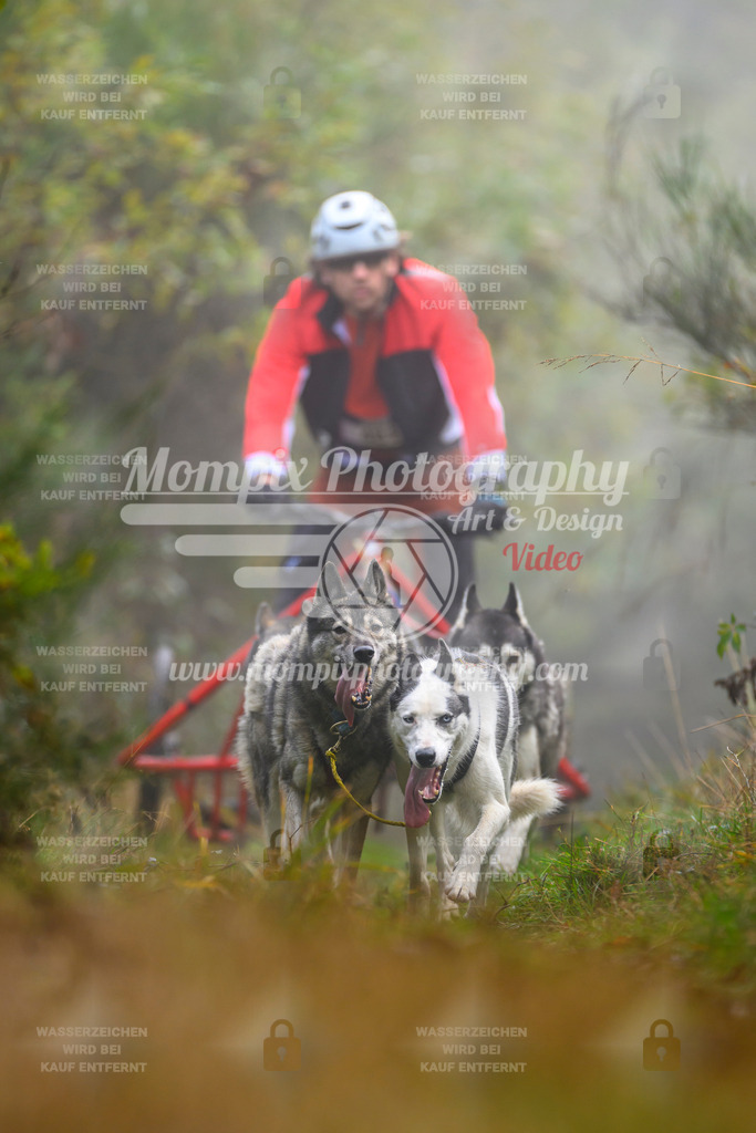 MompixPhotography_20TSB_E4_Kart-22 | PayLife
