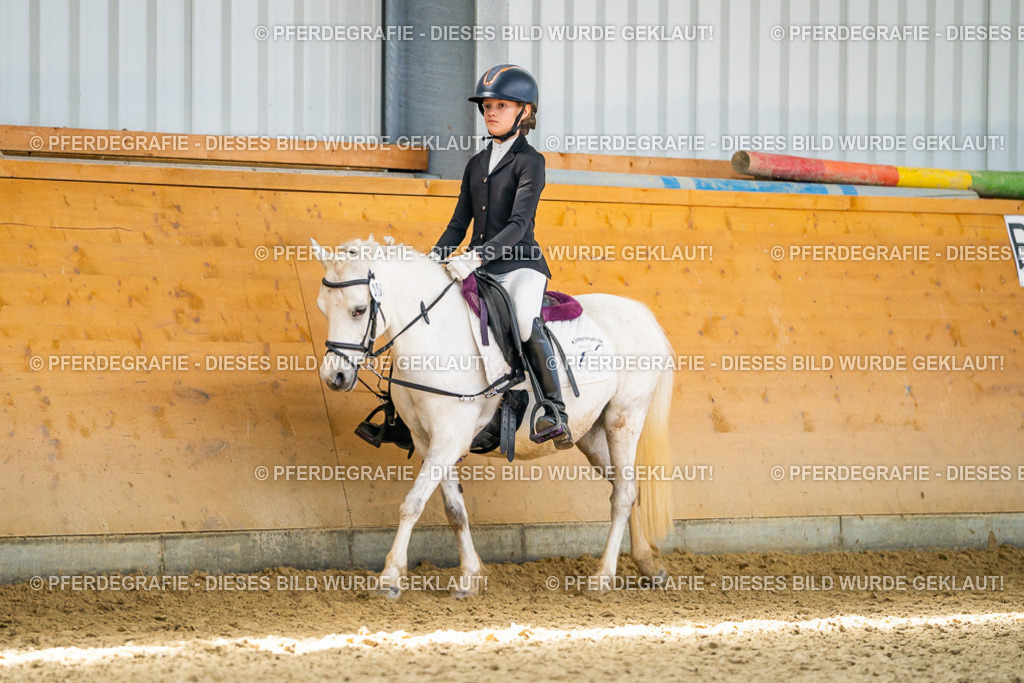 DSC03412 | Pferdegrafie