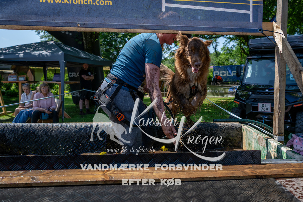 1222_ZZ90864 | kk-dogfotos