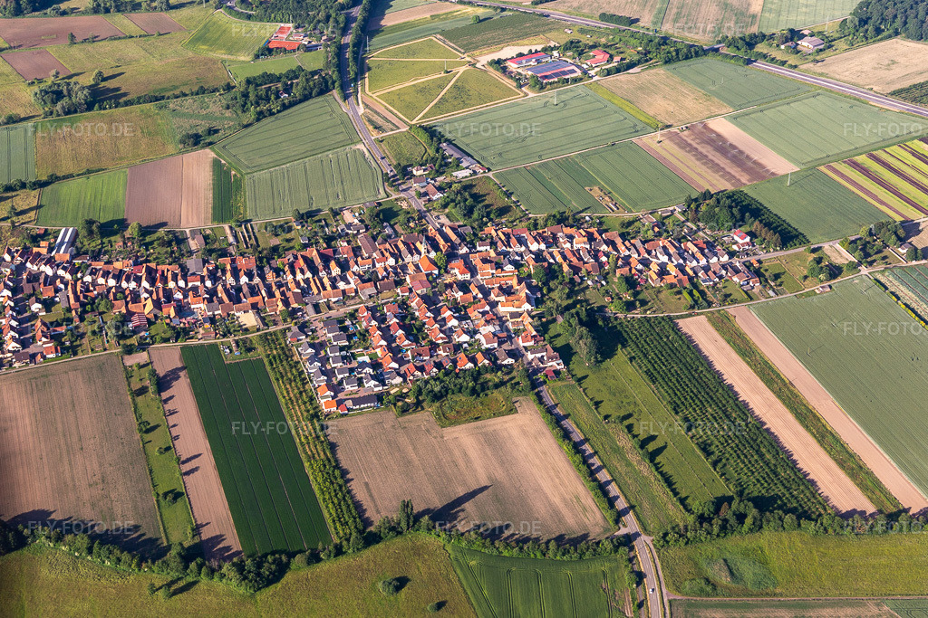 Luftbild: Ortsansicht aus Norden in Erlenbach bei Kandel im Bundesland Rheinland-Pfalz in Deutschland. Foto: IMG_132225.jpg vom 28.05.2022 durch Werner Riehm/FLY-FOTO.de