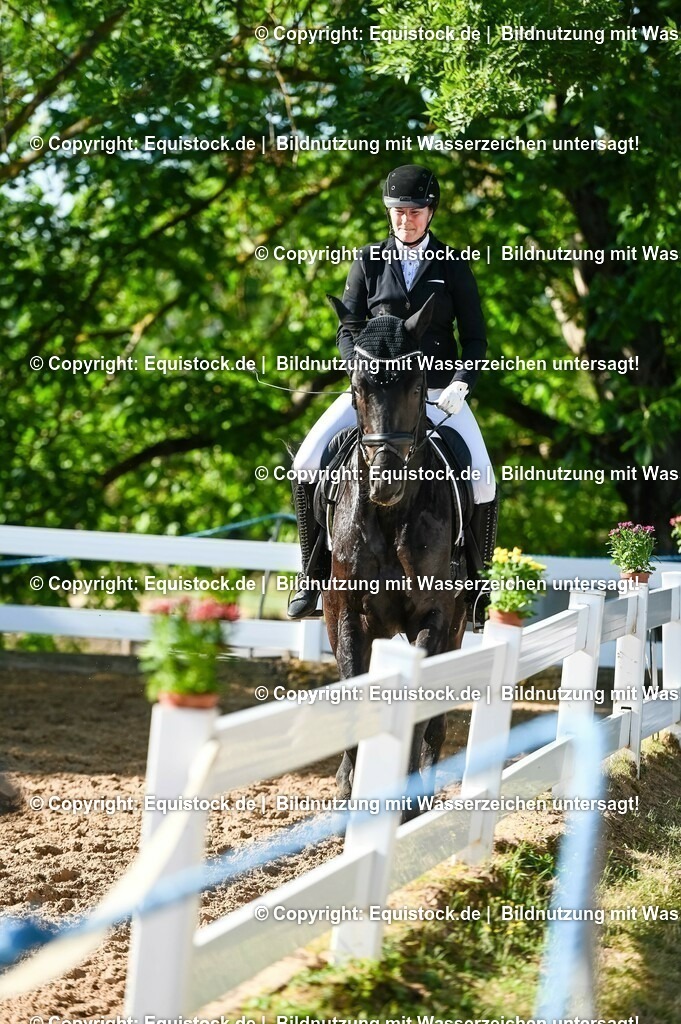 20230715_06_Dressurpferdeprfg. Kl.A_0016 | equistock