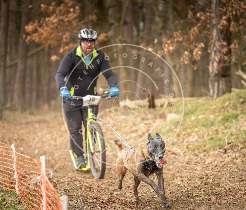 Pfotenfotografie_DV3A4234 | Hundefotografie, Tierfotograf, Pfotenfotografie, Fotoshooting Hund, Hunde Portrait, Hundesport, Hundeportraits, Heideshooting, Hunde, Sportfotograf, Hundefotograf, Turnierhundsport, THS,  - Realisiert mit Pictrs.com