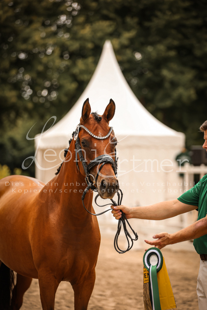 10.So00136 | Leoni Ertmer Photography - Realisiert mit Pictrs.com