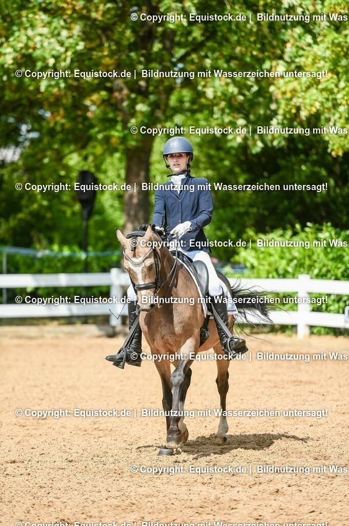20230716_01_Dressurprüfung Kl.M_0211 | equistock