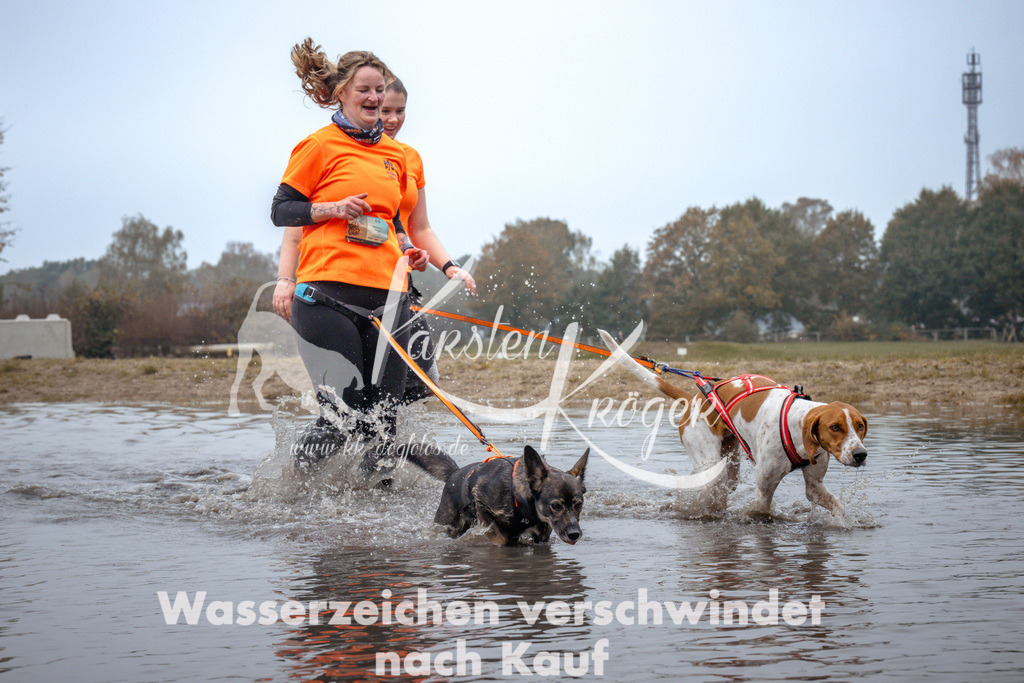 1105_ZZ92847 | kk-dogfotos