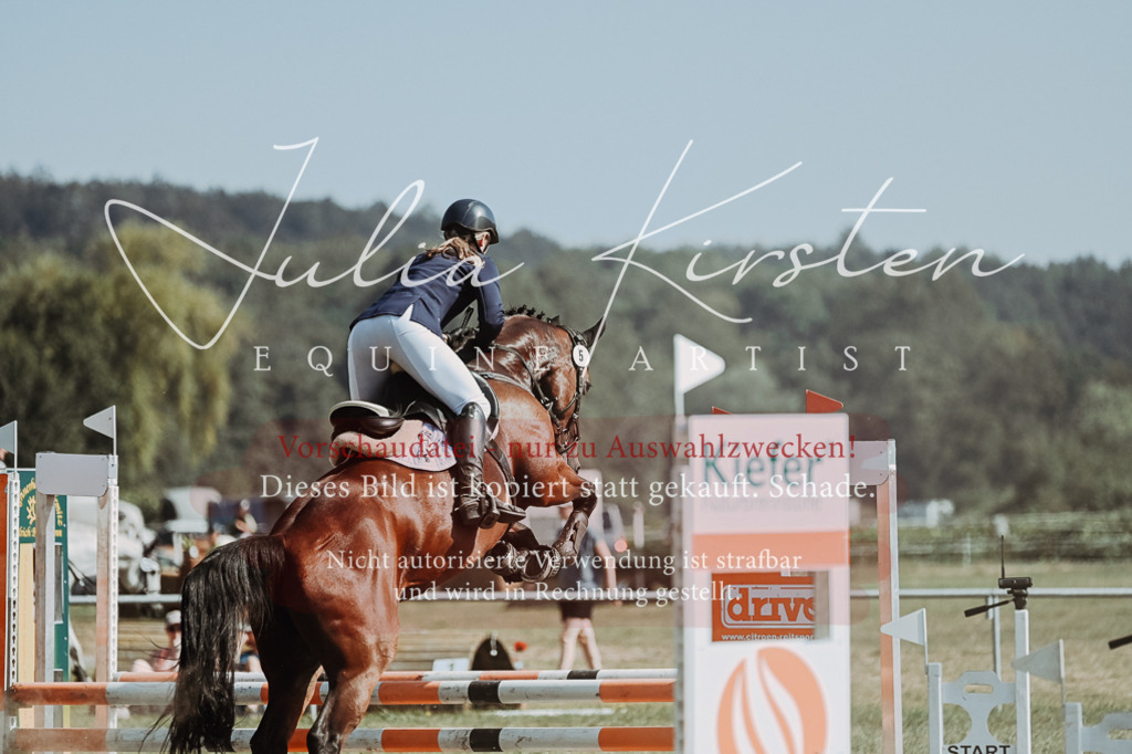 DSC_9396 | Pferde- und Turnierfotografie in Westsachsen. Pferdeportraits, Auftragszeichnungen und intuitive Kunst.
