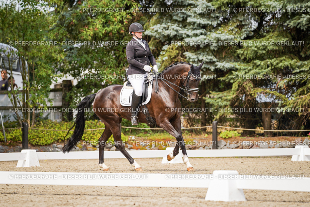 DSC05479 | Pferdegrafie