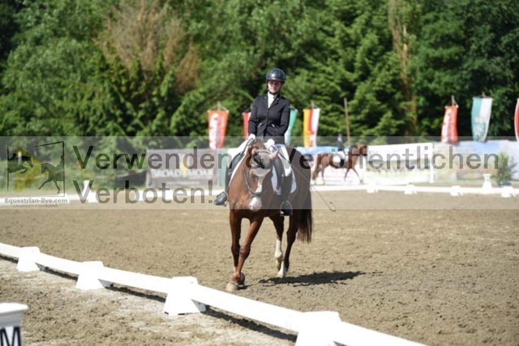 DSC_9733 | equestrian-live-com