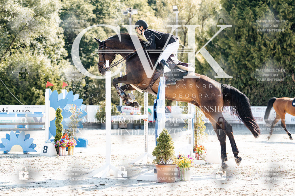 CK902305 | Turnierfotografie Pferdefotografie Trier Rheinland-Pfalz Pferdesport Reitsport Tierfotografie Sportfotografie Pferdevideo Pferdevideografie Equestrianvideography equestrianphotography  - Realisiert mit Pictrs.com