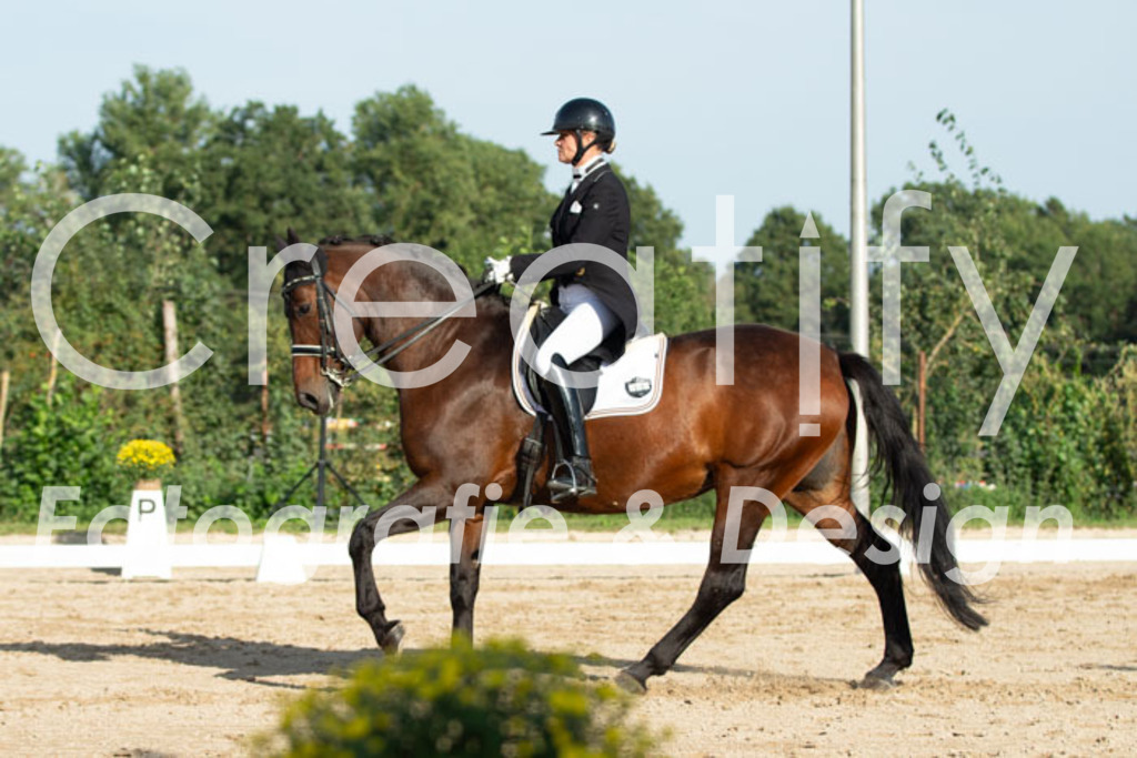 IMG_4941 | Creatify Fotografie