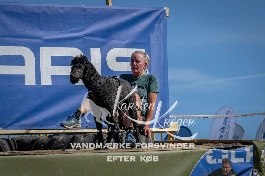 1118_ZZ91217 | kk-dogfotos