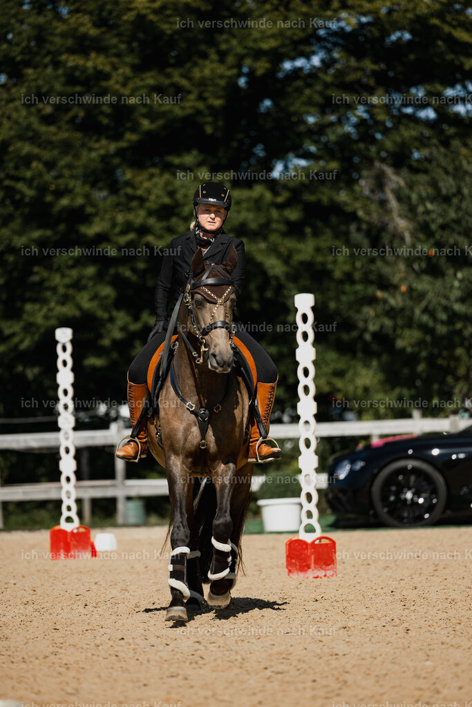 Katja7_FHC2025-27481 | working equitationturnier fotograf videograf stoibphotography marixx film working equitation deutschland reitsport turnierfotografie eventfotografie equestrian events