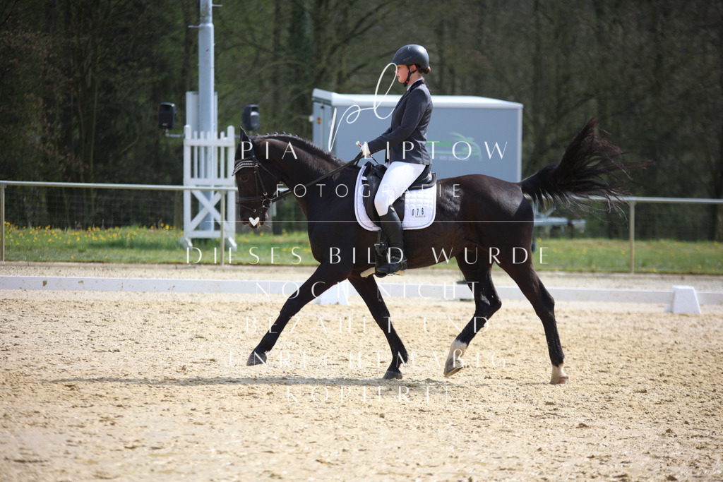 IMGT4767 | pl-fotografie