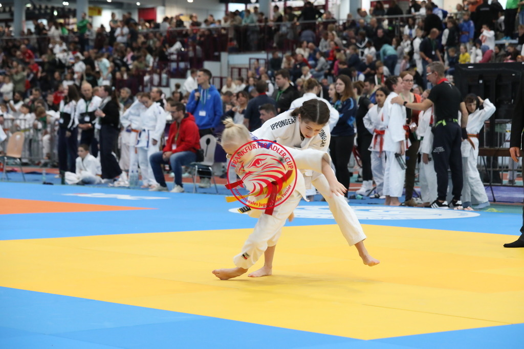 1J7A1607 | Fotos vom Adler Cup - Pictures from Adler Cup

Hier findet Ihr alle Eindrücke und großen Momente der Adler Cup Wochenenden. Here you will find all impressions and great moments of the Adler Cup weekends. - Realisiert mit Pictrs.com