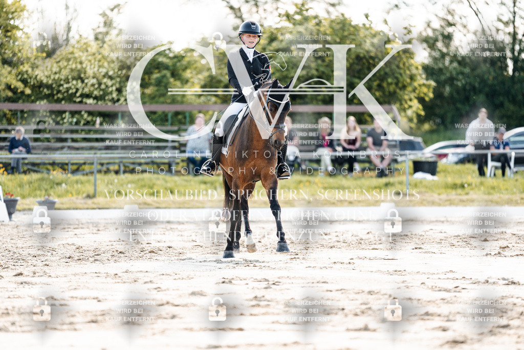 CK909501 | Turnierfotografie Pferdefotografie Trier Rheinland-Pfalz Pferdesport Reitsport Tierfotografie Sportfotografie Pferdevideo Pferdevideografie Equestrianvideography equestrianphotography  - Realisiert mit Pictrs.com
