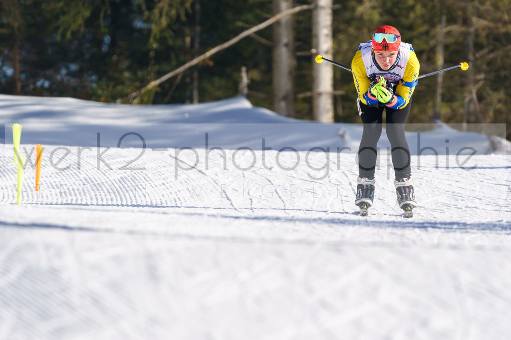 DSC Arber | Bayerischer Wald am 9. bis 12. Februar 2023
