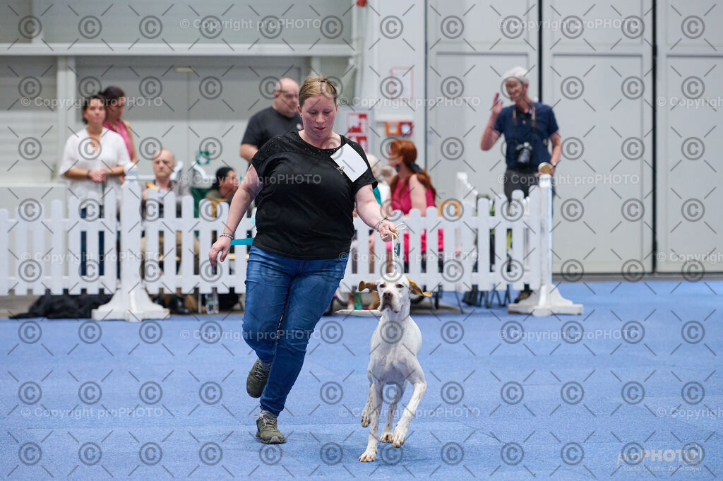 202406_ÖKV-IHA-Tulln24_DSC_3125 | proPHOTO - Realisiert mit Pictrs.com