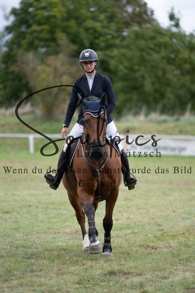 A7V07410 | Turnier/Reitfotograf