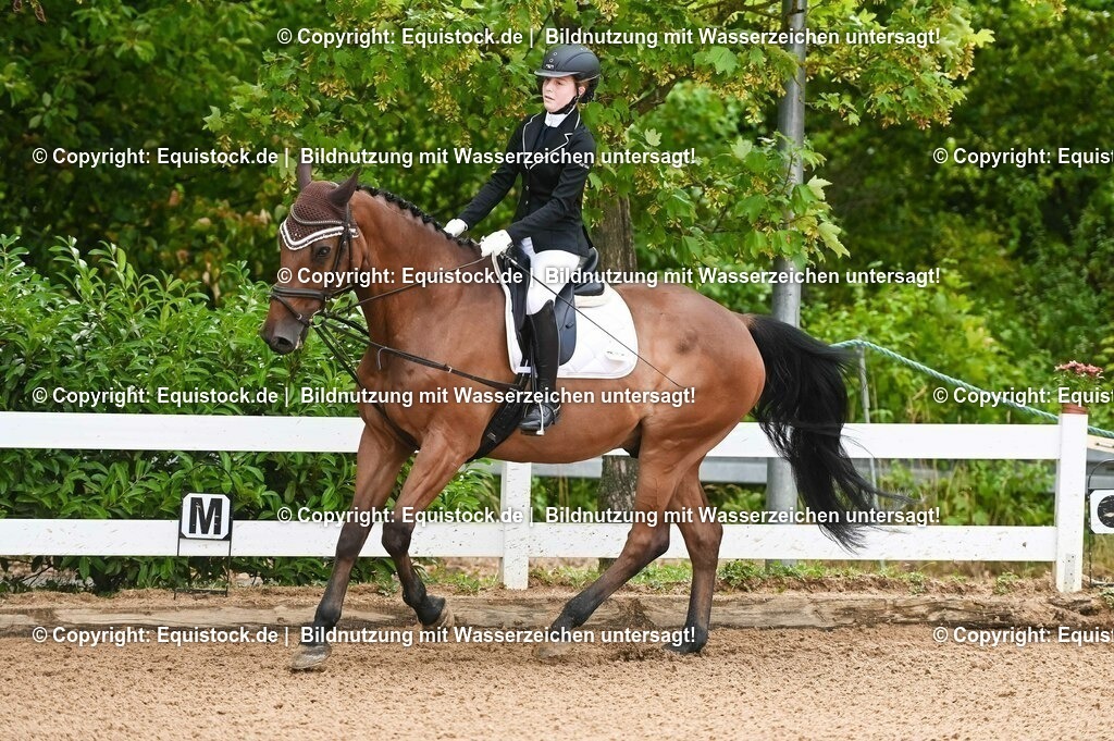 20230716_10-1_Reiter-WB Schritt - Trab - Galopp_0093 | equistock