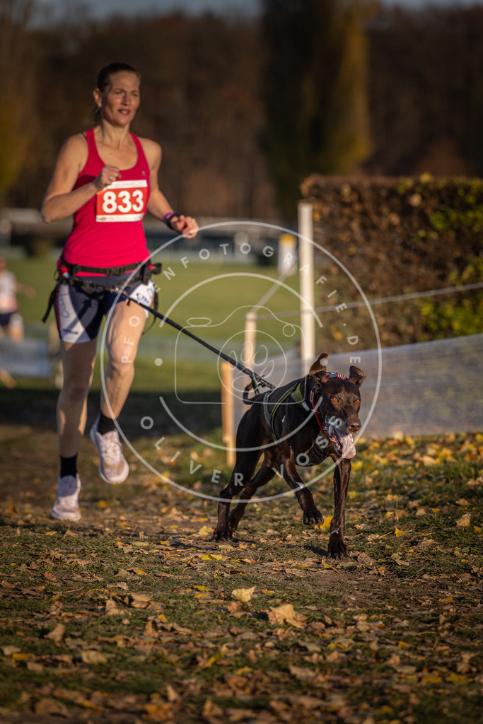 CaniXpix_DV3A3481 | Hundefotografie, Tierfotograf, Pfotenfotografie, Fotoshooting Hund, Hunde Portrait, Hundesport, Hundeportraits, Heideshooting, Hunde, Sportfotograf, Hundefotograf, Turnierhundsport, THS,  - Realisiert mit Pictrs.com