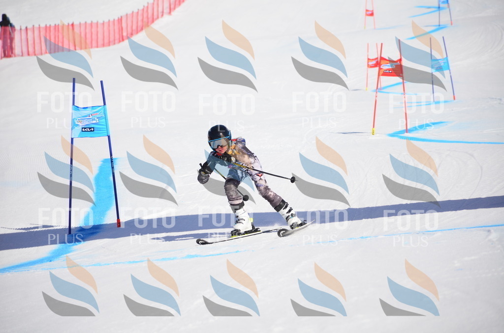 VR4_9587 | holidayphoto