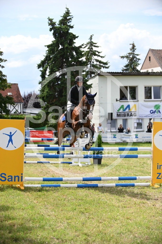 DSC_7014 | sattelsport - Realisiert mit Pictrs.com