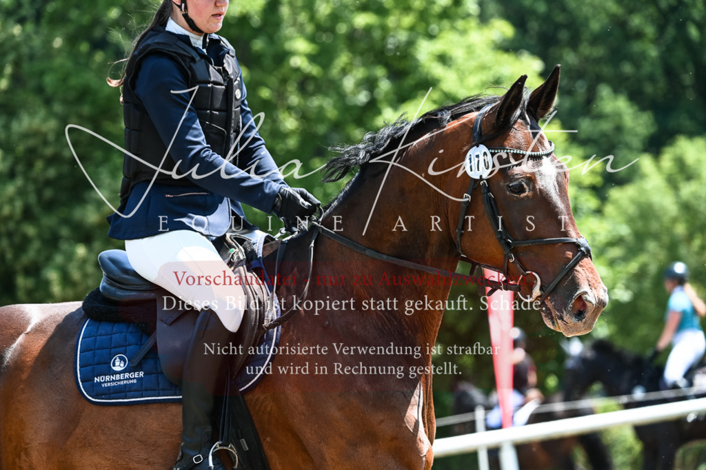 DSC_9961 | Pferde- und Turnierfotografie in Westsachsen. Pferdeportraits, Auftragszeichnungen und intuitive Kunst.