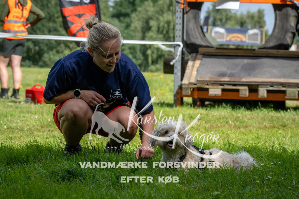 1113_ZZ92144 | kk-dogfotos