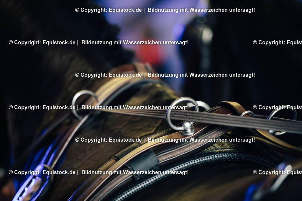 20251115_Impressionen_TOMSPIC_0003 | Foto: Thomas Hartig