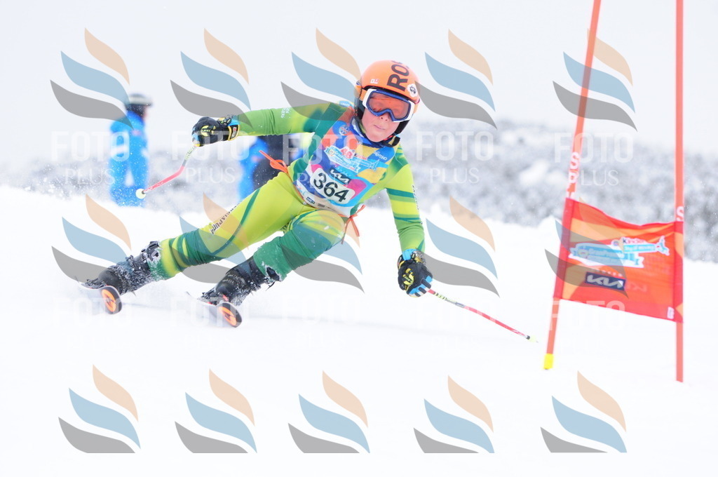 C3887 | holidayphoto